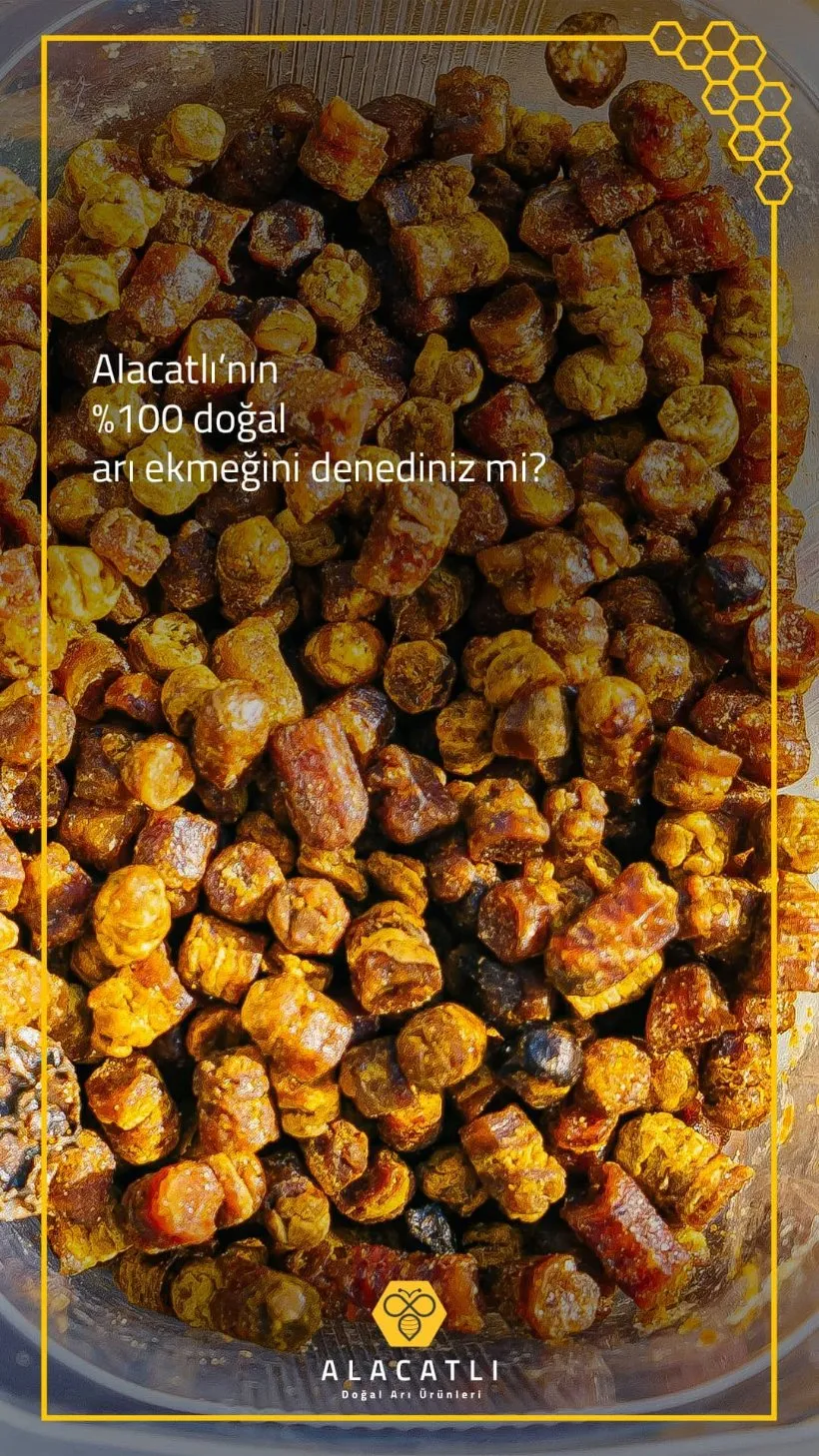 Arı Ekmeği / Perga — Alacatlı doğal arı ürünleri, Refahiye / Erzincan