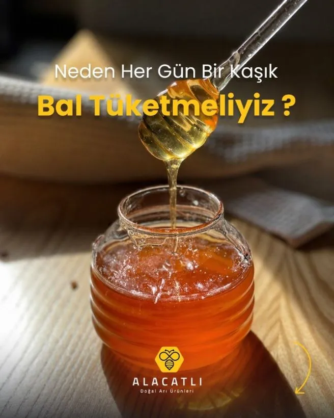 Her gün 1 kaşık balın faydaları