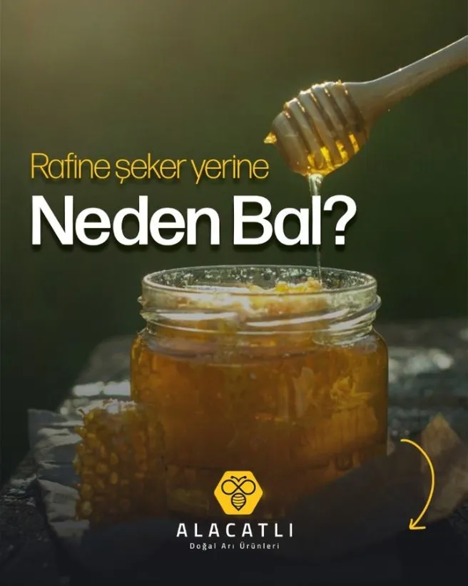 Rafine şeker yerine neden bal?