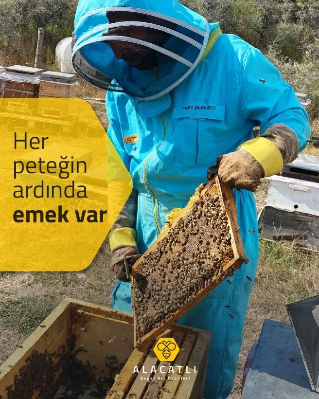 Alacatlı'da bal üretimi nasıl kontrol ediliyor?