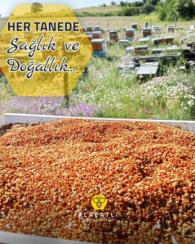 Arı poleninin faydaları nelerdir?