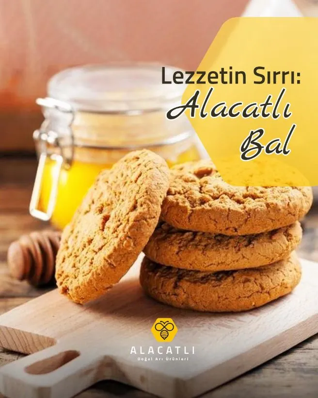 Ballı Yulaflı Kurabiye — ballı tarif